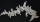Kordone-Fransiz Band-Motif-6015